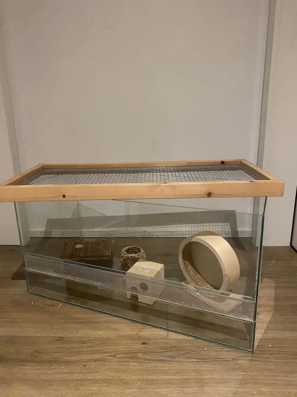 Nagerterrarium Glas