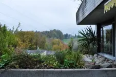Bijou im Grünen – 3.0-Zimmer-Terrassenhaus mit Panorama-Aussicht in der Thalmatt (Herrenschwanden) - Fotos 5