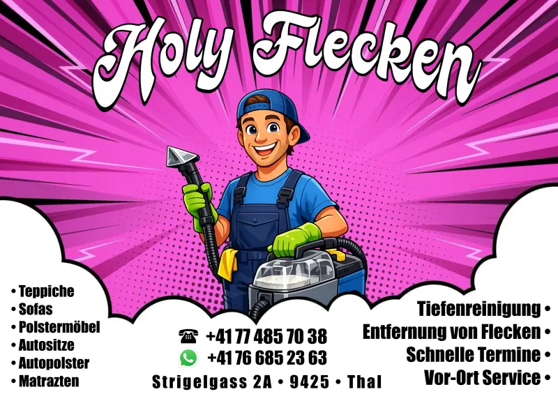 Autos, Polster, Sofas und Teppiche waschen