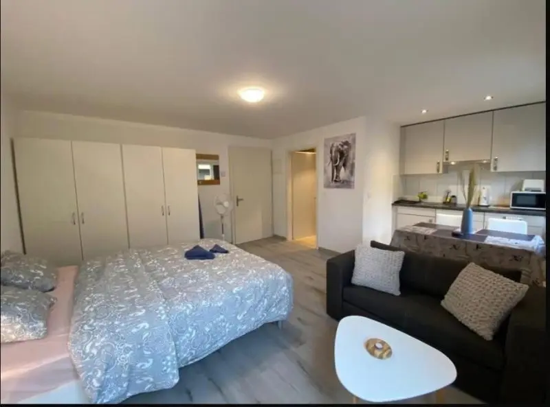 AFFITTASI APPARTAMENTO DIETIKON