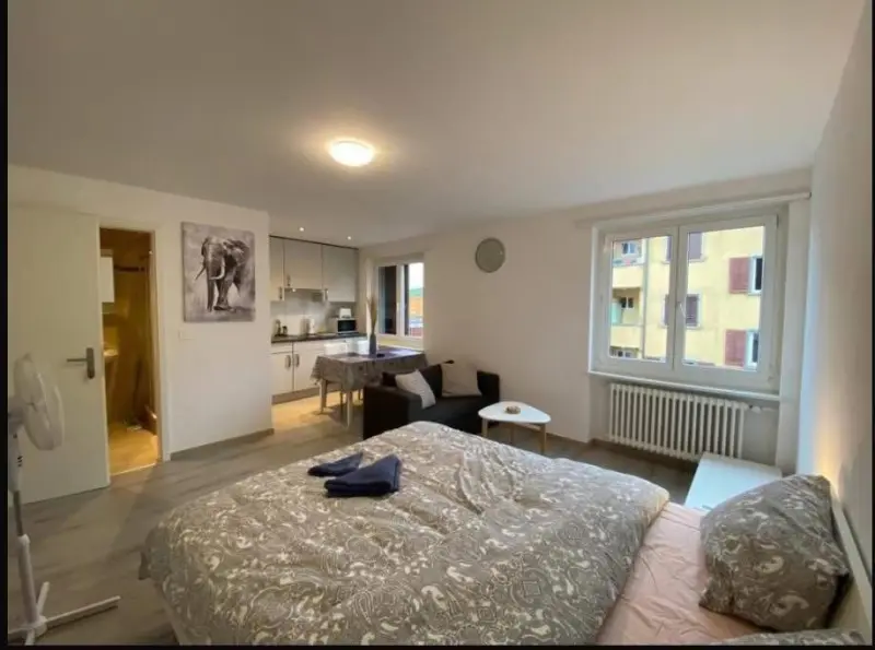 AFFITTASI APPARTAMENTO DIETIKON
