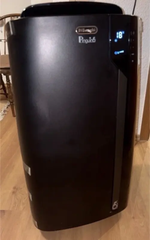 Klimaanlage De'Longhi Pac EX130 Eco Real