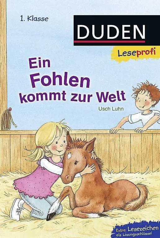 11 Erstlesebücher: Bibi und Tina, Yakari, Eiskönigin, Duden