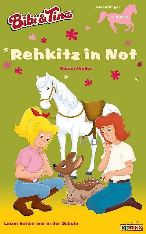11 Erstlesebücher: Bibi und Tina, Yakari, Eiskönigin, Duden