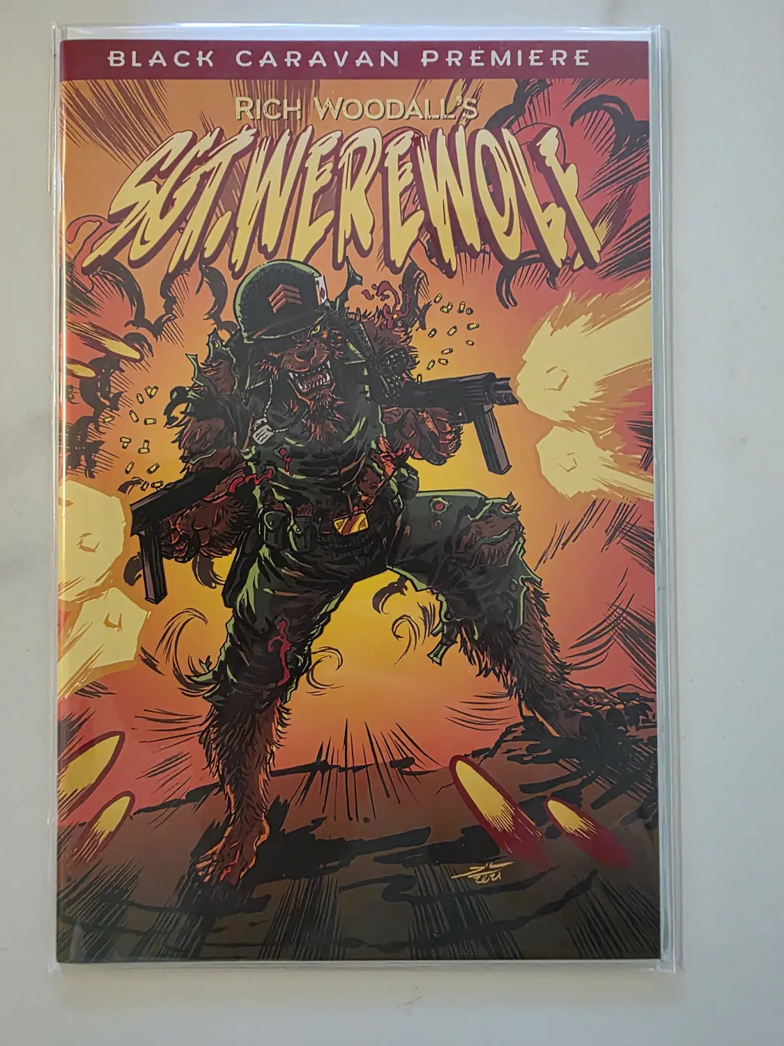 DC & Indie Modern Variant Comic Lot — 5 Comics — Poison Ivy, TMNT & More